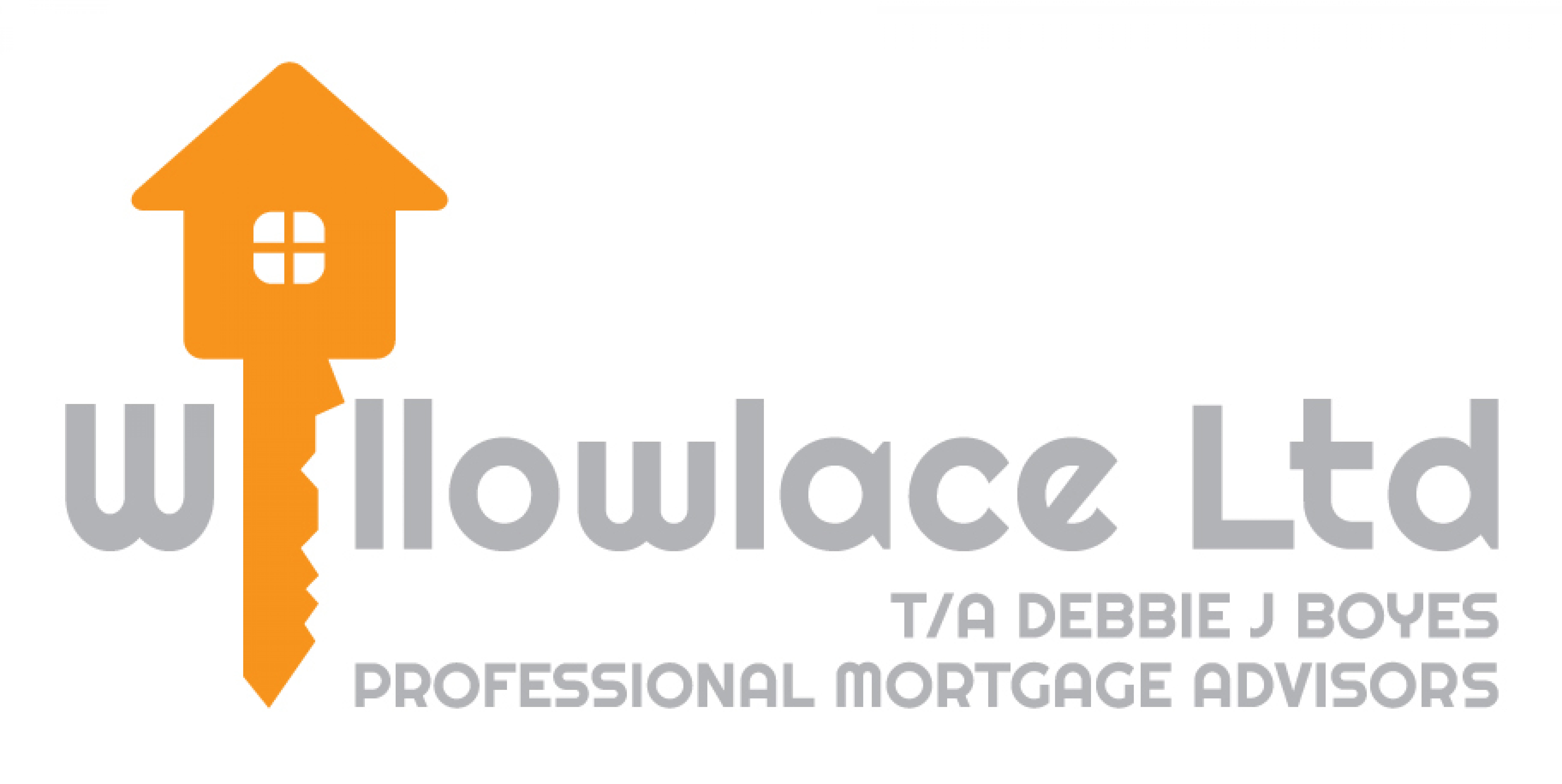 Other eg business insurance Willowlace Professional