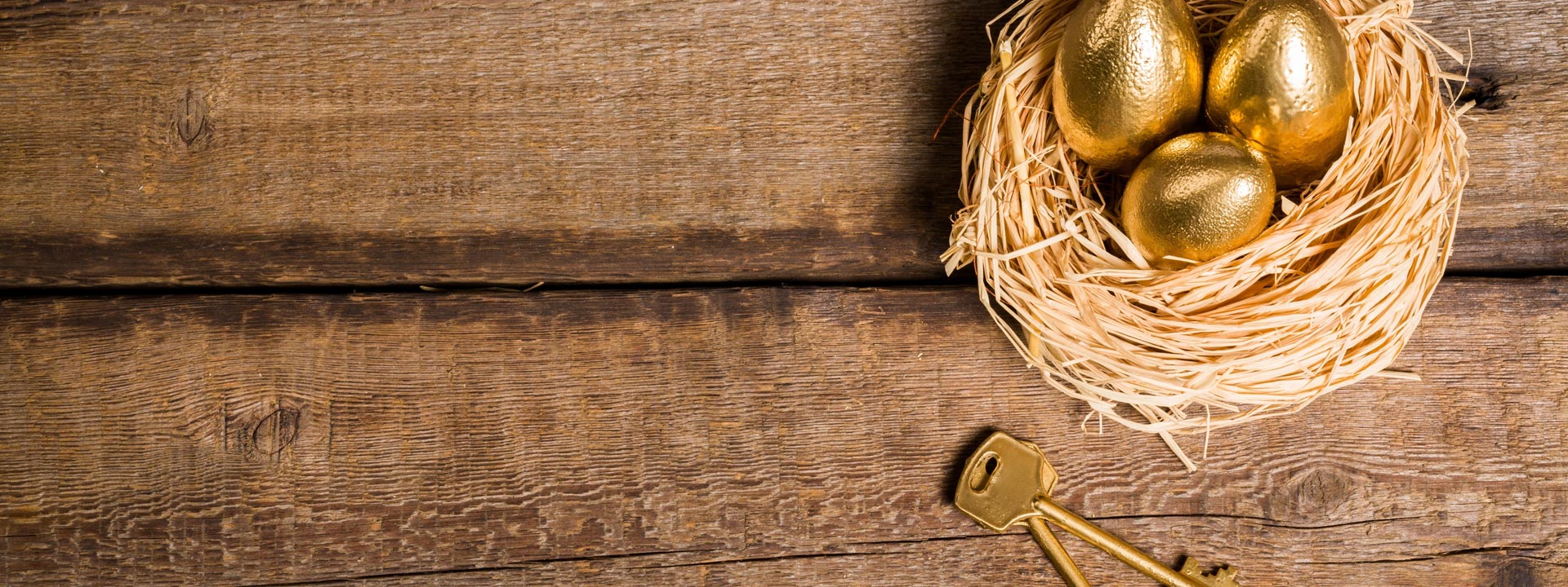 Willowlace News - Golden Eggs Header